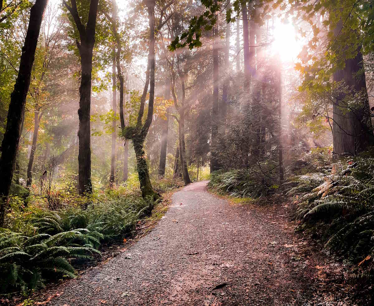 Trails near Quill